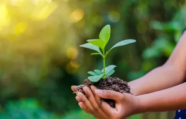 O Papel da Mulher no Desenvolvimento Sustentável
