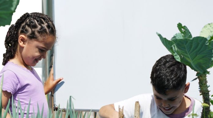 Alimentação Saudável Para Adolescentes: Foco nas Meninas
