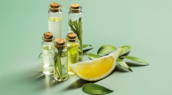 Maquiagem vegana: as melhores opções de marcas e produtos sustentáveis